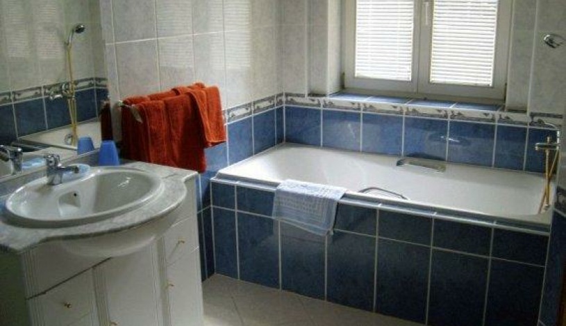 Villa Renan Karlovy Vary